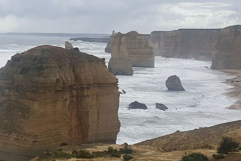 Luxury Private Day Tours (Great Ocean Rd, Phillip Island ,Yarra Valley) - Accommodation Newcastle 0