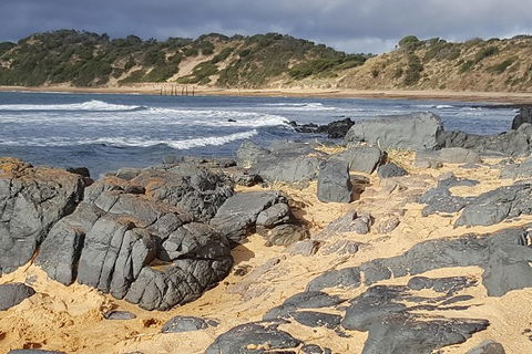 Luxury Private Day Tours (Great Ocean Rd, Phillip Island ,Yarra Valley) - Accommodation Newcastle 1