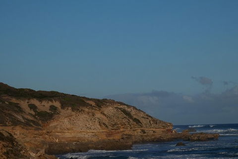 Mornington Peninsula Tour - Accommodation Newcastle 0