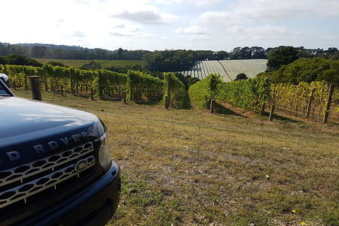 Mornington Peninsula Tour - Accommodation Newcastle 1