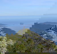 Melbourne to Wilsons Promontory shuttle tour - Accommodation Newcastle