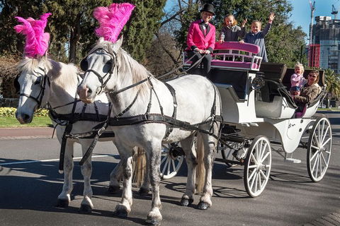 Melbourne Horse Drawn Carriages 30 Minute Garden Tour - Accommodation Newcastle 1