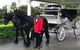 Melbourne Horse Drawn Carriages 30 Minute City Tour - thumb 1