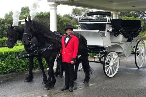 Melbourne Horse Drawn Carriages 30 Minute City Tour - Accommodation Newcastle 1