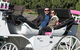 Melbourne Horse Drawn Carriages Ultimate Romance 1 Hour Tour - thumb 1