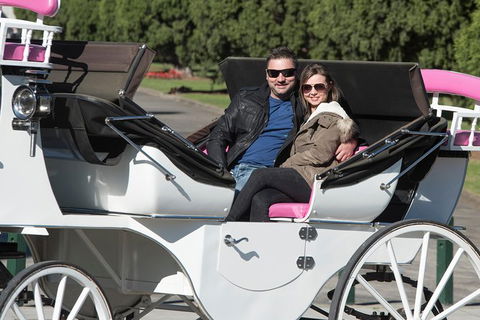 Melbourne Horse Drawn Carriages Ultimate Romance 1 Hour Tour - Accommodation Newcastle 1