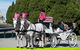 Melbourne Horse Drawn Carriages Ultimate Romance 1 Hour Tour - thumb 0