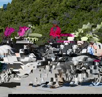 Melbourne Horse Drawn Carriages Ultimate Romance 1 Hour tour - Accommodation Newcastle