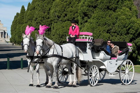 Melbourne Horse Drawn Carriages Ultimate Romance 1 Hour Tour - Accommodation Newcastle 0