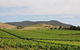 Private Tour: Yarra Valley- Brewery, Distillery, And Wine - thumb 1