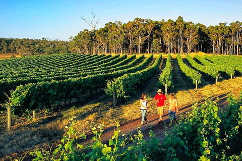 Private Tour: Yarra Valley- Brewery, Distillery, And Wine - Accommodation Newcastle 0