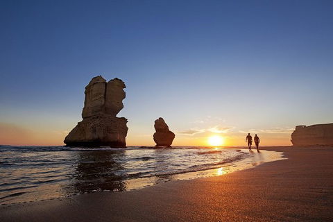 Private Tour: Great Ocean Road 12 Apostles Direct (7-8 Hours) - Accommodation Newcastle 1