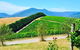 Private Winery Tour: Yarra Valley Boutique Wine Trails From Melbourne - thumb 0