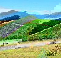Private Winery Tour Yarra Valley Boutique Wine Trails From Melbourne - Accommodation Newcastle