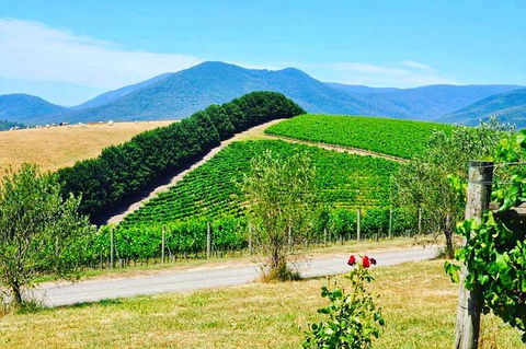 Private Winery Tour: Yarra Valley Boutique Wine Trails From Melbourne - Accommodation Newcastle 0