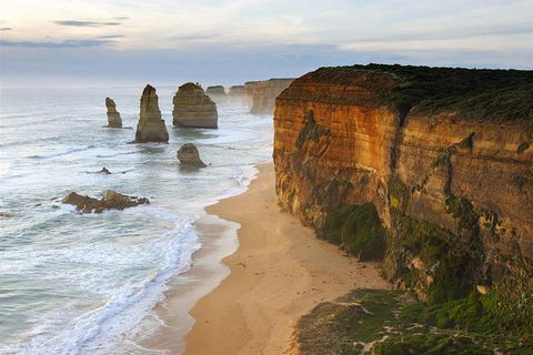 Group Tour: Great Ocean Tour & Twelve Apostles - Accommodation Newcastle 0