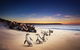 Phillip Island Penguin Parade For 24 Passengers - thumb 0