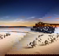 Phillip Island Penguin parade for 24 passengers - Accommodation Newcastle