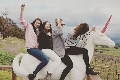 Private Tailored Yarra Valley Wine Tour Or Mornington Up To 7 People - Accommodation Newcastle 1