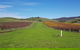 Private Tailored Yarra Valley Wine Tour Or Mornington Up To 7 People - thumb 0