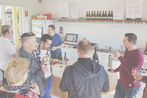 Private Tailored Yarra Valley Wine Tour Or Mornington Up To 7 People - Accommodation Newcastle 12