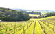 Private Tailored Yarra Valley Wine Tour Or Mornington Up To 7 People - thumb 4