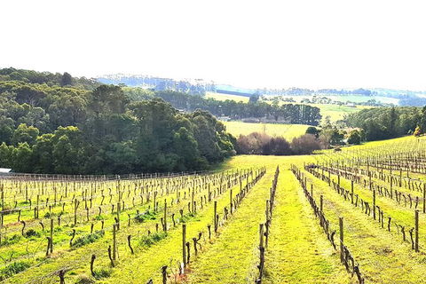 Private Tailored Yarra Valley Wine Tour Or Mornington Up To 7 People - Accommodation Newcastle 4