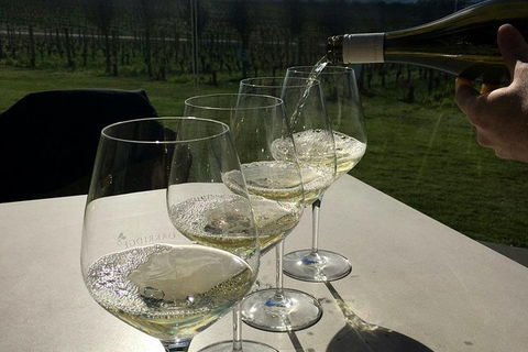 Private Tailored Yarra Valley Wine Tour Or Mornington Up To 7 People - Accommodation Newcastle 3