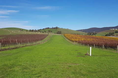 Private Tailored Yarra Valley Wine Tour Or Mornington Up To 7 People - Accommodation Newcastle 7