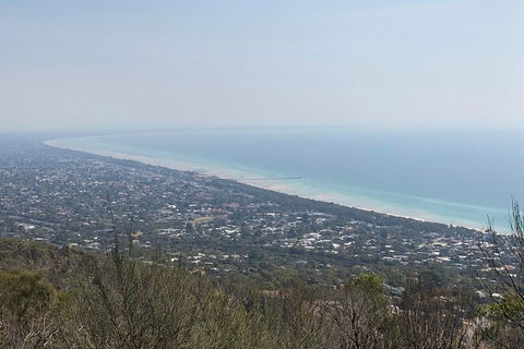 Mornington Peninsula Vegan Food Day Tour - Accommodation Newcastle 1