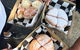 Mornington Peninsula Vegan Food Day Tour - thumb 0