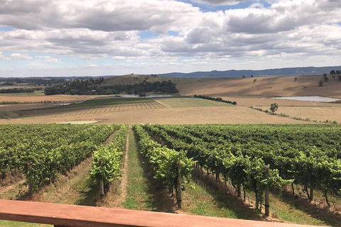 Yarra Valley - Shed Festival - Accommodation Newcastle 0