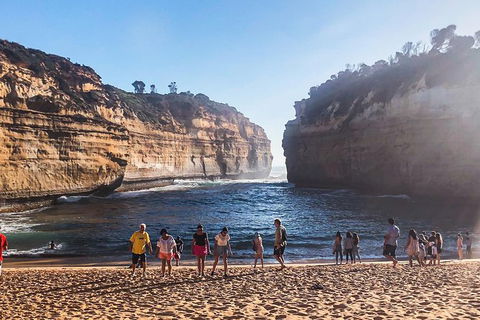 Great Ocean Road - Day Tour - Accommodation Newcastle 2