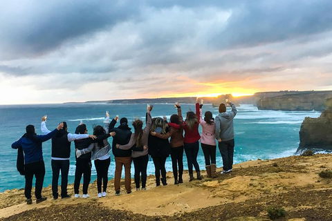 Great Ocean Road - Day Tour - Accommodation Newcastle 7