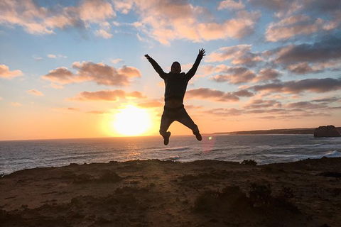 Great Ocean Road - Day Tour - Accommodation Newcastle 6