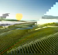 Yarra Valley wine tours for 24 guests - Accommodation Newcastle