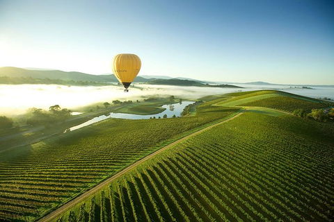 Yarra Valley Wine Tours For 24 Guests - Accommodation Newcastle 0