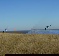 Phillip Island Penguin Parade and George Bass Coastal Walk - Accommodation Newcastle