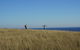 Phillip Island Penguin Parade And George Bass Coastal Walk - thumb 2