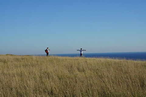 Phillip Island Penguin Parade And George Bass Coastal Walk - Accommodation Newcastle 2
