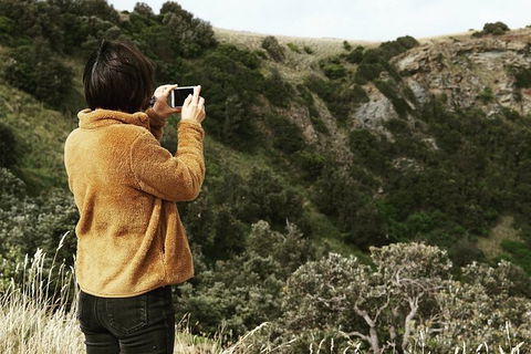 Phillip Island Penguin Parade And George Bass Coastal Walk - Accommodation Newcastle 9