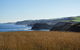 Phillip Island Penguin Parade And George Bass Coastal Walk - thumb 8