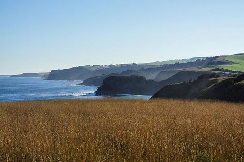 Phillip Island Penguin Parade And George Bass Coastal Walk - Accommodation Newcastle 8