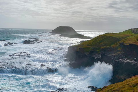 Phillip Island Penguin Parade And George Bass Coastal Walk - Accommodation Newcastle 10