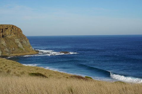 Phillip Island Penguin Parade And George Bass Coastal Walk - Accommodation Newcastle 6