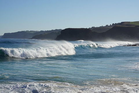 Phillip Island Penguin Parade And George Bass Coastal Walk - Accommodation Newcastle 11