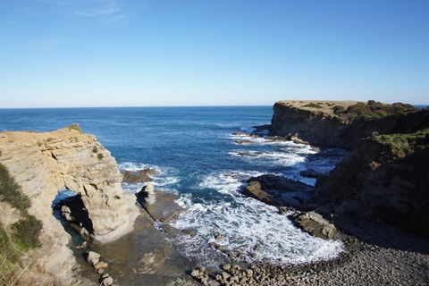 Phillip Island Penguin Parade And George Bass Coastal Walk - Accommodation Newcastle 7
