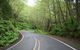 Private Great Ocean Road Express Tour (9 Hour Tour) - thumb 3