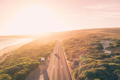 Private Great Ocean Road Express Tour (9 Hour Tour) - Accommodation Newcastle 10
