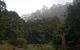 2 Day Great Ocean Road Tour And Platypus Paddle - thumb 15
